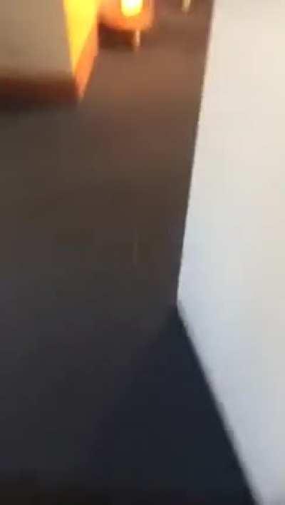 Friend sent me this, only in New Zealand