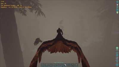 Me: lulz that is a weird bu..... AHHHH!! WTF! WTF! WTF!