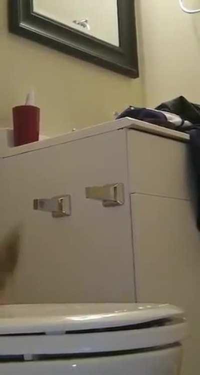 Enjoy this old video (she was okay, just dumb)