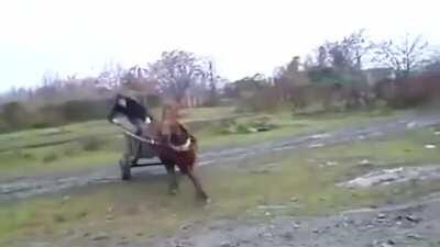 Cyberpunk 2077 Russian Edition