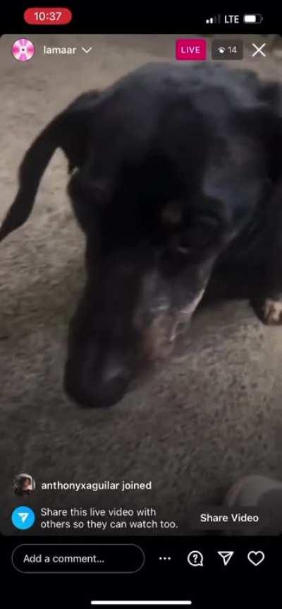 New Faygo Snippet 👀