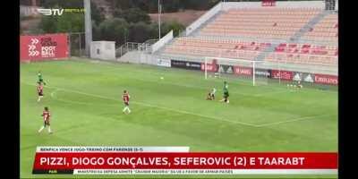 O Resumo do Benfica 5 - 1 Farense