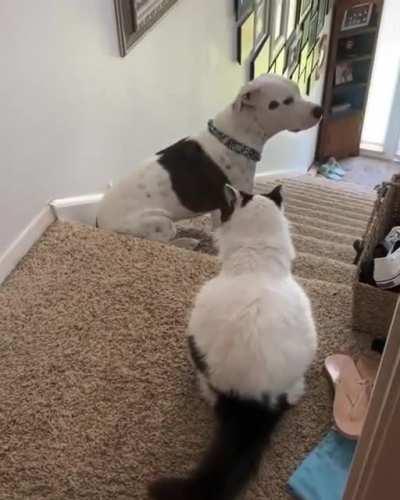 Sometimes you’ve just got to be brave and face your fears