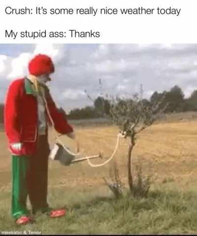 Brain.exe has stopped responding