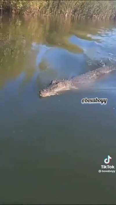 I think they had that coming...