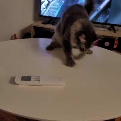 This table is full of greebles, he does this every night