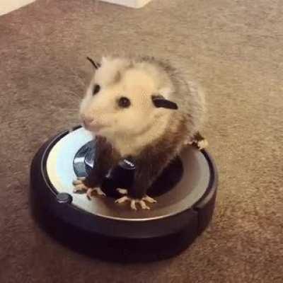 I am losing my grasp of reality