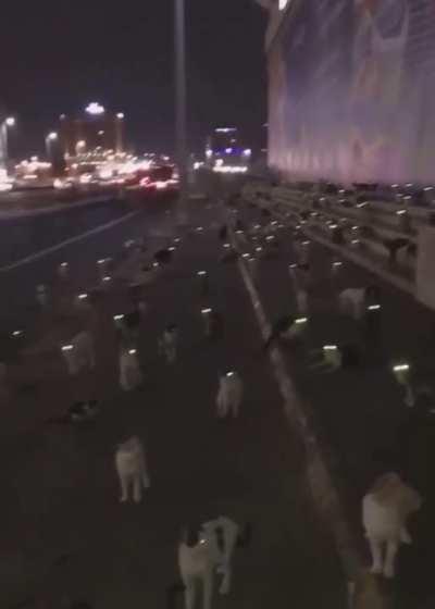 Esperando a nave chegar.