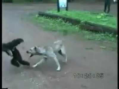 Rkers when you pull out the Tusk Act 4