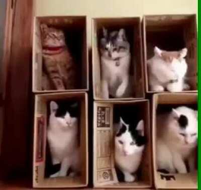 Apartment five has a real asshole living there. Starts shit with all the neighbors.