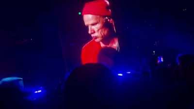 Californication Jam - London - 21st July 2023