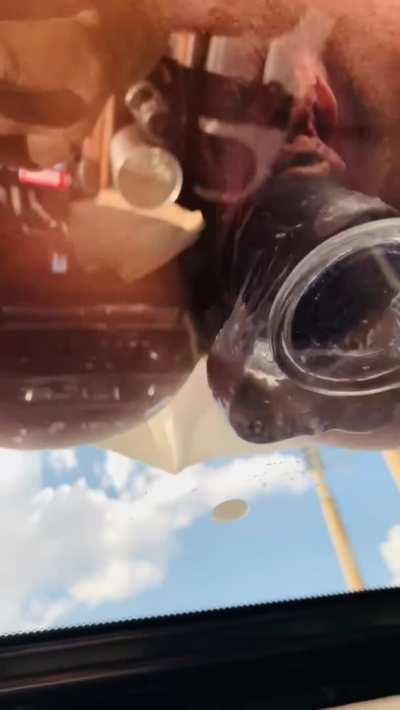 Stuck my dildo on the sunroof 😇