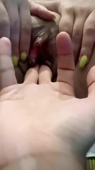 I shall finger and worship this pussy