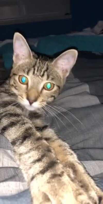 Good morning, Nashy boy