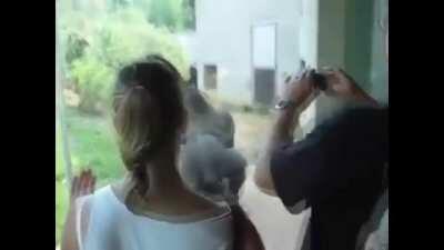 Psikiyatrist: Dönen goril gerçek değil, sana zarar veremez. Dönen Goril: