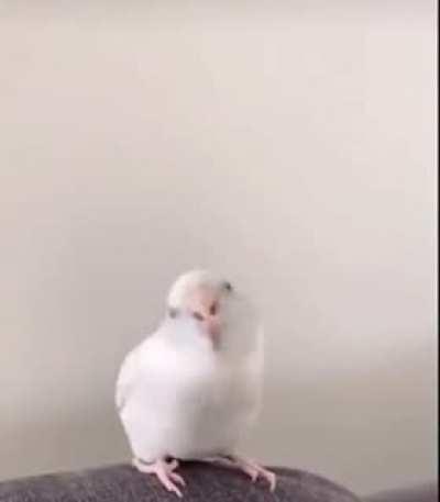 Lan ne kadar tatlı amk