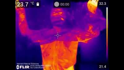 Different materials (acrylic, plastic, aluminium) are transparent in the infrared vs the visible part of the spectrum