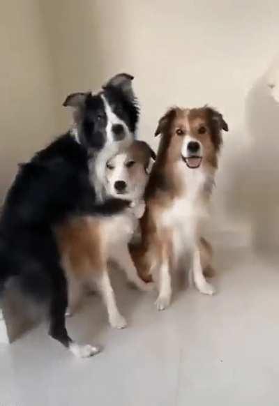 Alright Everyone Say Cheese!!!