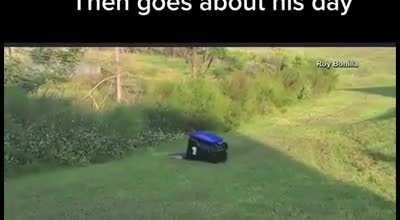 Гена заблудился