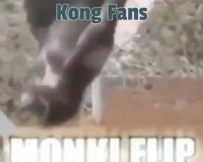 Monki beat lazer dino 😎