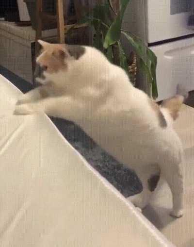 I want to help him jump so badly