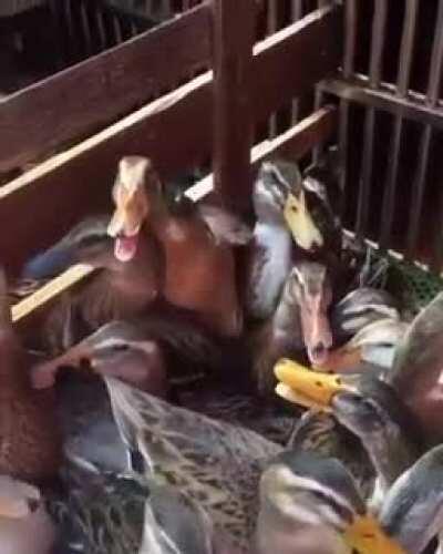 Thanks, I hate this video.