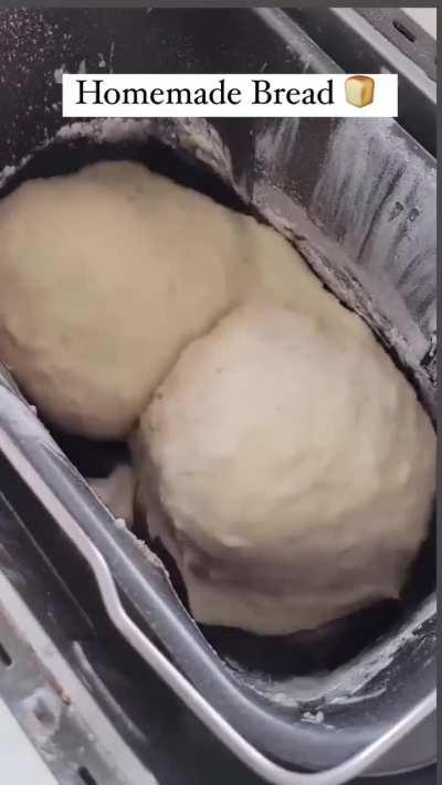 That sweet sourdough twerking