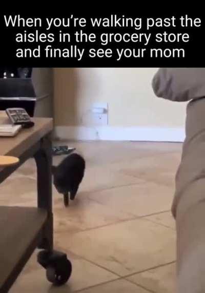 Mom where are youuuuuuuu. Moooooom..... Ohh found her...