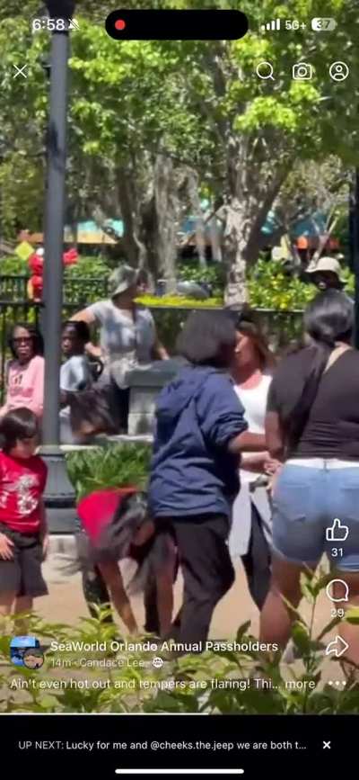 Fight at seaworld orlando