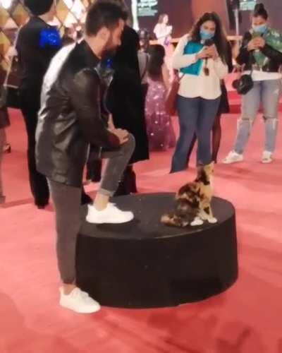 The real star of the Cairo Film Festival