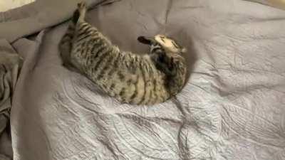 Every single time...