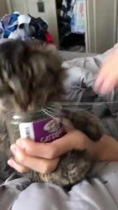 Well, they don't call it Cat Crack for nothing, I guess...