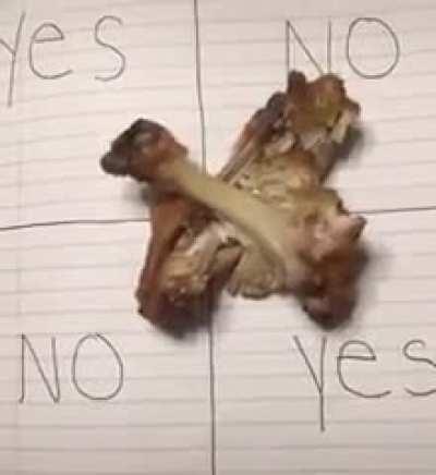 Tyrone is everywhere