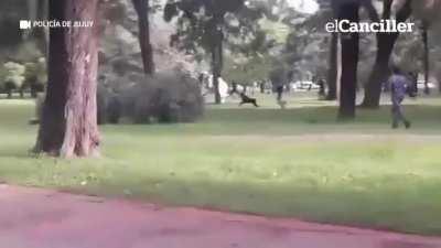 I love the smell of democracy in the cuarentena