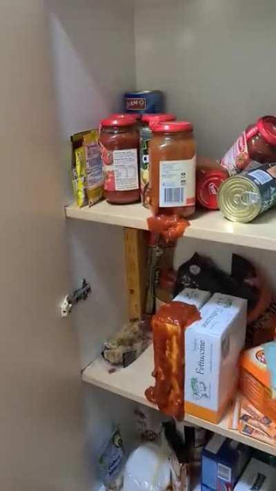 Tried to kill a spider in the cupboard, found more, knocked stuff out and put it back...