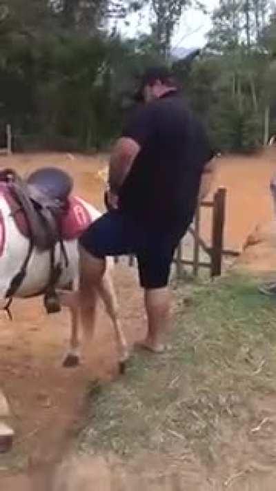 WCGW trying to ride a horse 3 weight classes too low