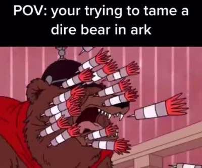 Dire bear go brrrrr