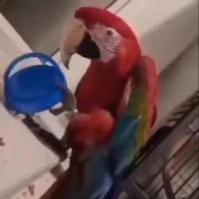 this kid smarter than me