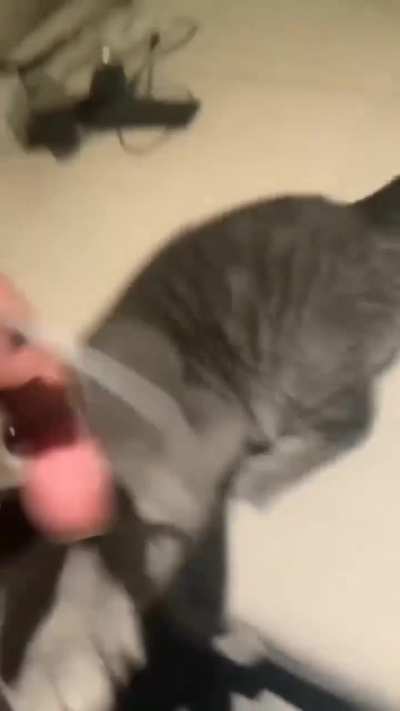 This is for... HUMANITY