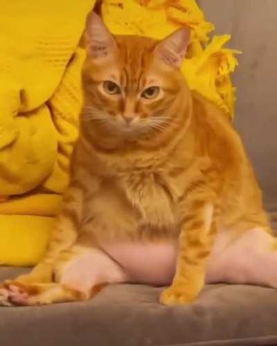 Когда проснулся после вечеринки и ощущаешь некую неправильность бытия