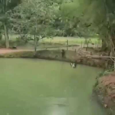 Alguém sabe o nome da música ??