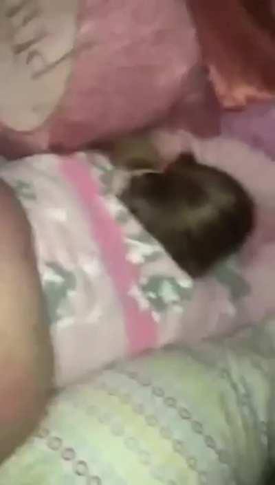 Just looks right 😈