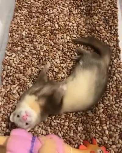 I have consumed white powder