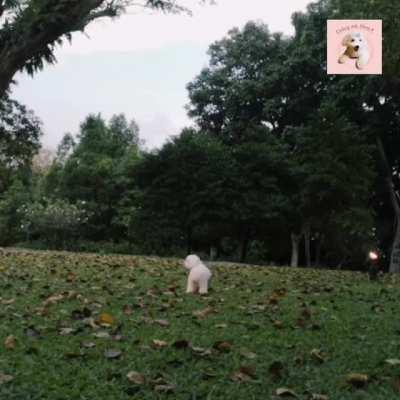 Choosing between the two humans