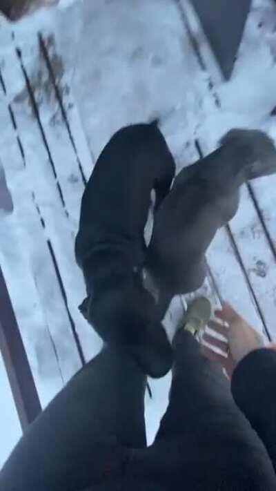 The best part of my day, every single day.