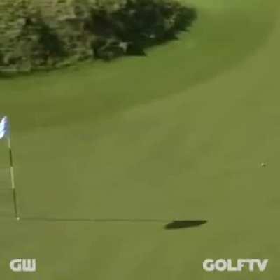 The longest televised golf putt was 160 feet (48.8 metres) by Michael Phelps. (Yes 