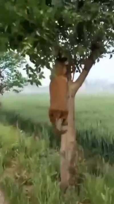 No stick? No problem.