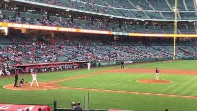 My view of Ohtani’s home run swing in the first inning