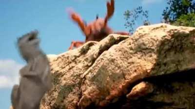 Remix bir yapay zekaya, video montajı bana aittir. İlk müzik editim