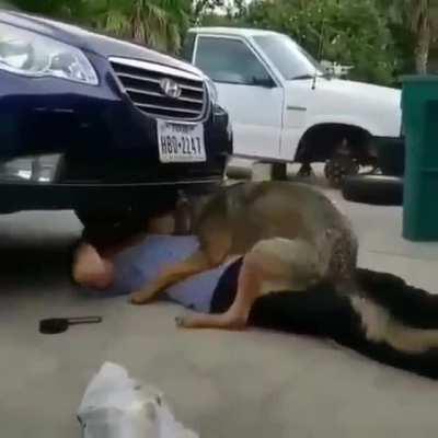 Leave the car, i need a hug